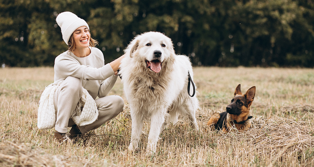 Deaf Dog: Silently Happy