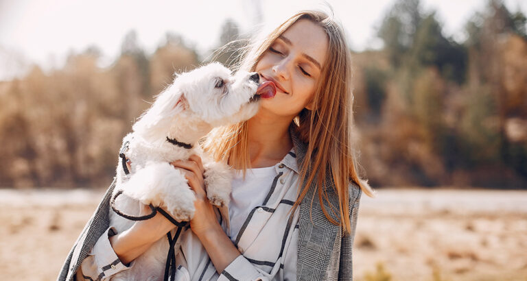 My Dog Licks Me – Why Does He Do That?