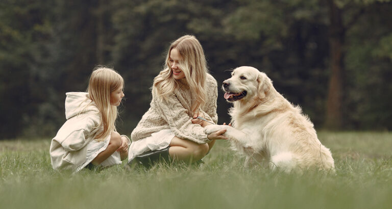 Dogs and Children: Building a Heartfelt Bond