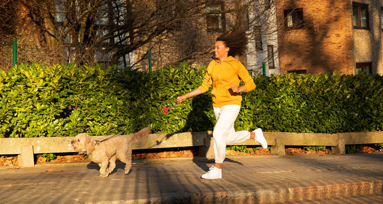 Jogging with a Dog – How to Make Joint Running Training Work