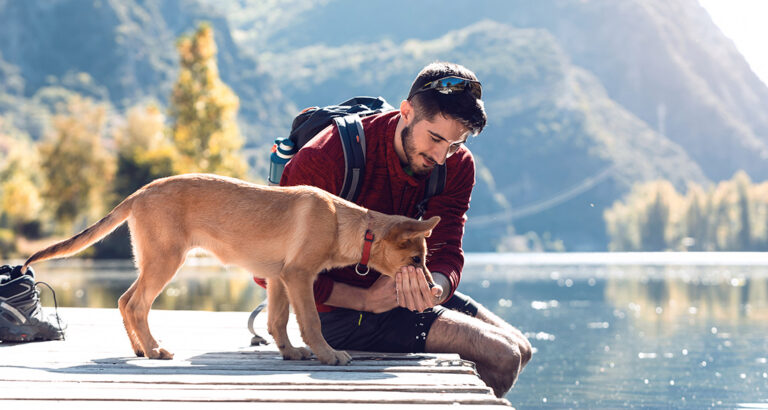 Summer Vacation with Your Dog: What to Pay Attention to