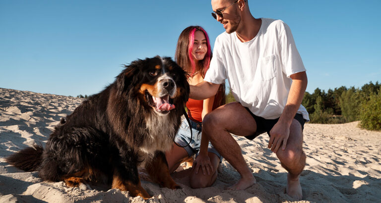 Taking the Dog to the Beach: Absolute Freedom?