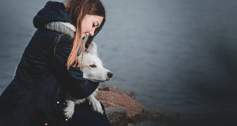 Helpful Thought Starters and Strategies to Cope with the Grief of Losing Your Dog