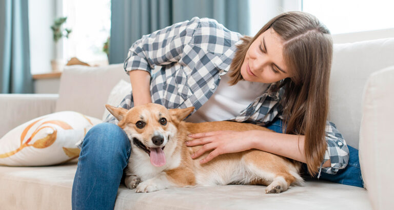 Why Dogs Make Better Pets: A Love Letter