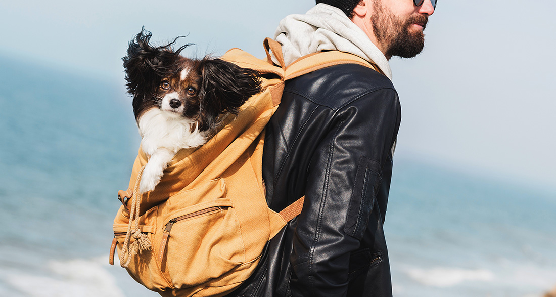 The 5 Best Dog Backpack Carriers of 2024