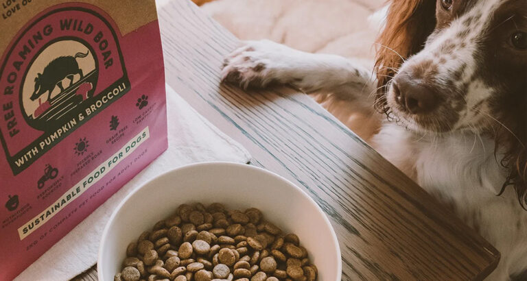 Best Grain-Free Dog Food 2024