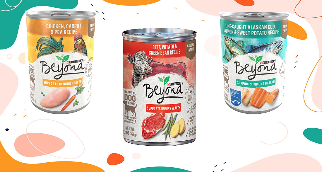 How good is Purina Beyond Natural Dog Food?