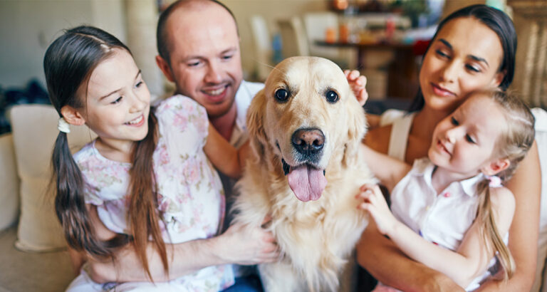 These 8 Dog Breeds are Perfect for Families