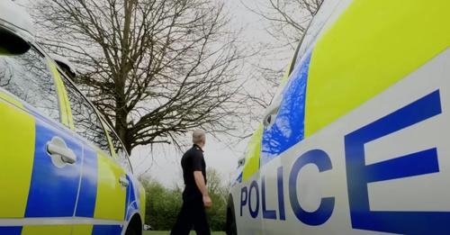 Bird gives police officers the runaround by “making siren sounds” like cop cars