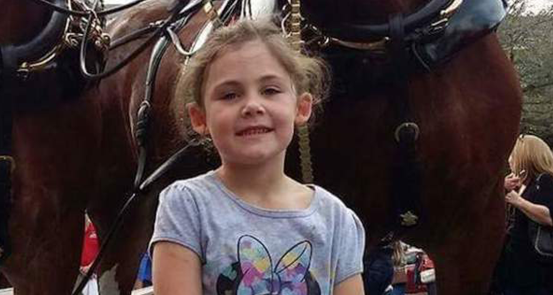 Dad Snaps A Photo Of His Daughter In Front Of Giant Horse, Looks Closer And Can’t Stop Laughing