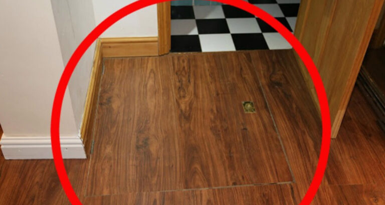 The Chilling Secret Hidden Beneath Inexpensive Apartment