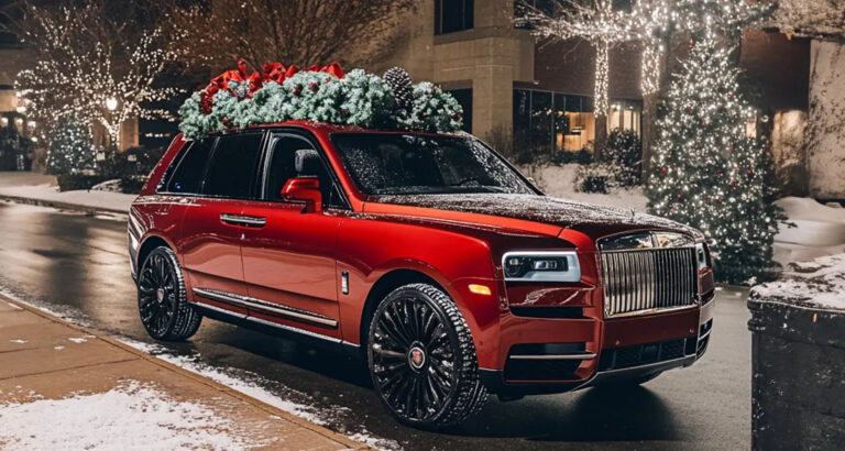 I Found an Elderly Woman on the Roadside on a Snowy Christmas Eve & Took Her Home — Days Later, a Luxury Decorated SUV Pulled up to My Door