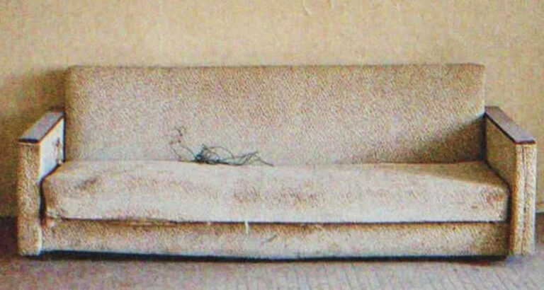 Orphan Inherits Old Sofa from Her Grandpa, She Sits and It Cracks under Her Weight – Story of the Day