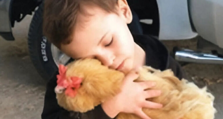 HE WOULDN’T LET GO OF THE CHICKEN—AND I DIDN’T HAVE THE HEART TO TELL HIM WHY SHE WAS MISSING YESTERDAY
