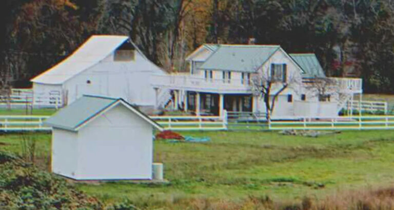 Poor Widower Sells Farm to Leave Son an Inheritance, He Disappears without a Trace the Next Day – Story of the Day