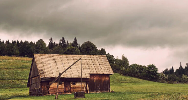 My Family Laughed When I Inherited the Old Farm – Then Developers Offered Me $2 Million