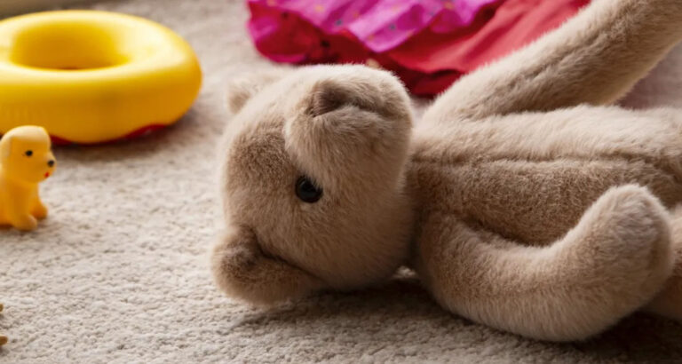 My Fiancé Threw All My Daughter’s Toys in the Trash – And That Wasn’t Even the Worst Part