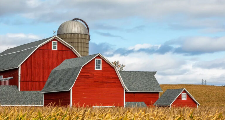 I Found a Letter From My Late Father and Discovered a Secret About His Farm That Destroyed More Than One Life — Story of the Day