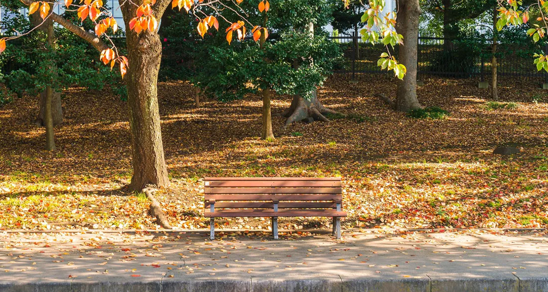 I Rewrote a Sign for a Blind Man to Help Him – This Simple Act Changed Both Our Lives
