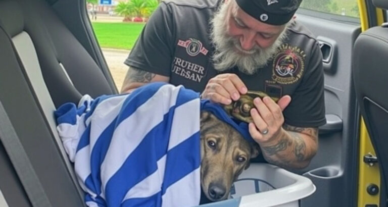 Biker Was Crying Over A Thing In That Blue Towel And I Had To Pull Over To See What Broke This Tough Man