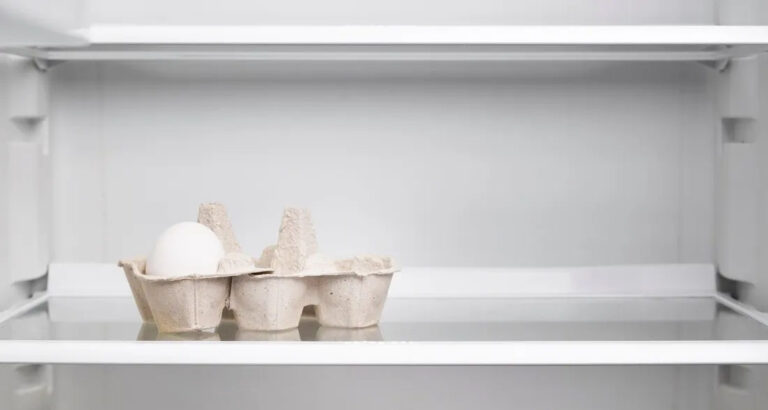 My Fridge Was Always Empty Despite My Cooking — One Evening, I Came Home Early and Finally Learned Where the Meals Had Gone