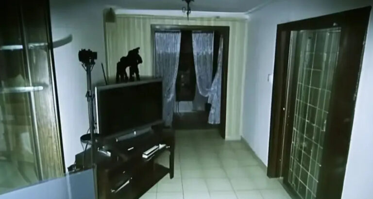 Things in My House Started Moving Around — I Installed a Security Camera and Was Shocked When I Saw the Footage