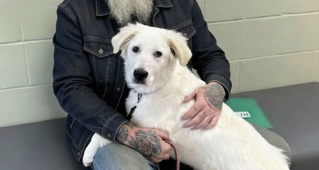 He Stopped His Harley at 3 AM for a Cry in the Dark and Found a Dying Dog With a Child’s Prayer Tied Around Her Neck