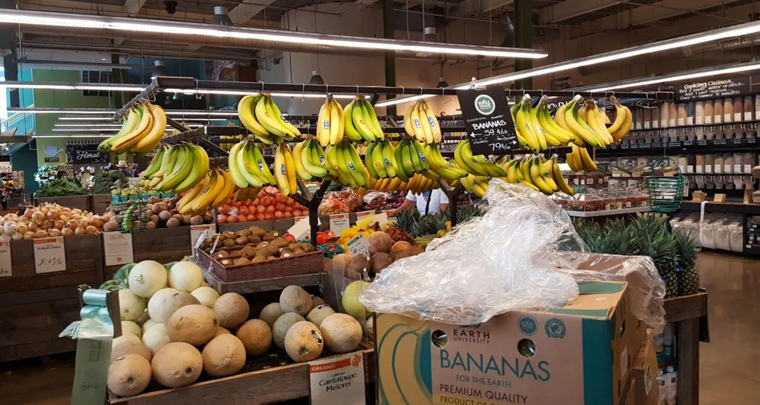 I Heard My Son Mock a Boy Whose Dad Packs Groceries – He Learned His Lesson Immediately