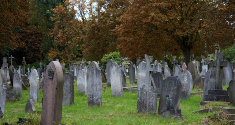 I Stumbled Upon a Headstone in the Woods and Saw My Childhood Photo on It – I Was Shocked When I Learned the Truth