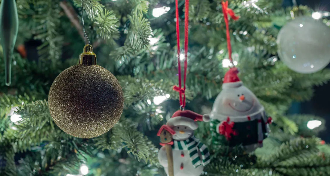 My Neighbor Ran Over My Tree with His Luxury Car – Karma Hit Him When He Least Expected It