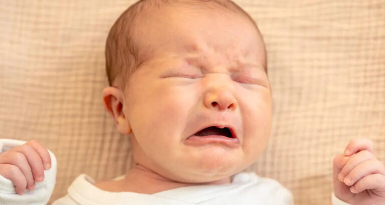 After We Lost Our Long-Awaited Baby, I Prayed for a Sign – Then I Heard a Newborn Crying Behind a Dumpster