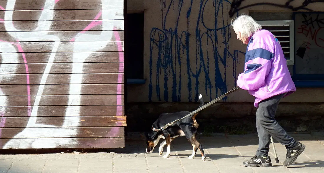 I Adopted a Girl with Down Syndrome That No One Wanted Right After I Saw 11 Rolls-Royces Parking in Front of My Porch