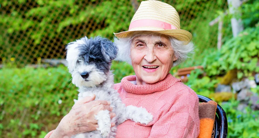 I Stood Up for an Elderly Woman with a Dog at the Grocery Store When Security Tried to Kick Her Out – That Same Evening, 5 SUVs Showed Up Outside My House