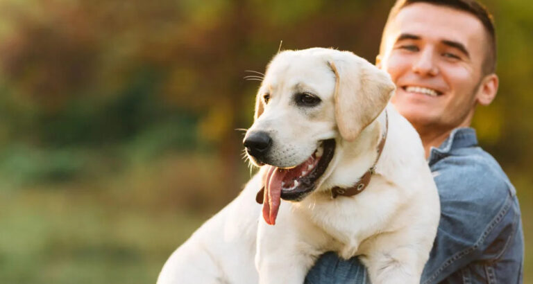 My 3-Legged Dog Recognized a Stranger Before I Did – and It Changed My Life in One Night