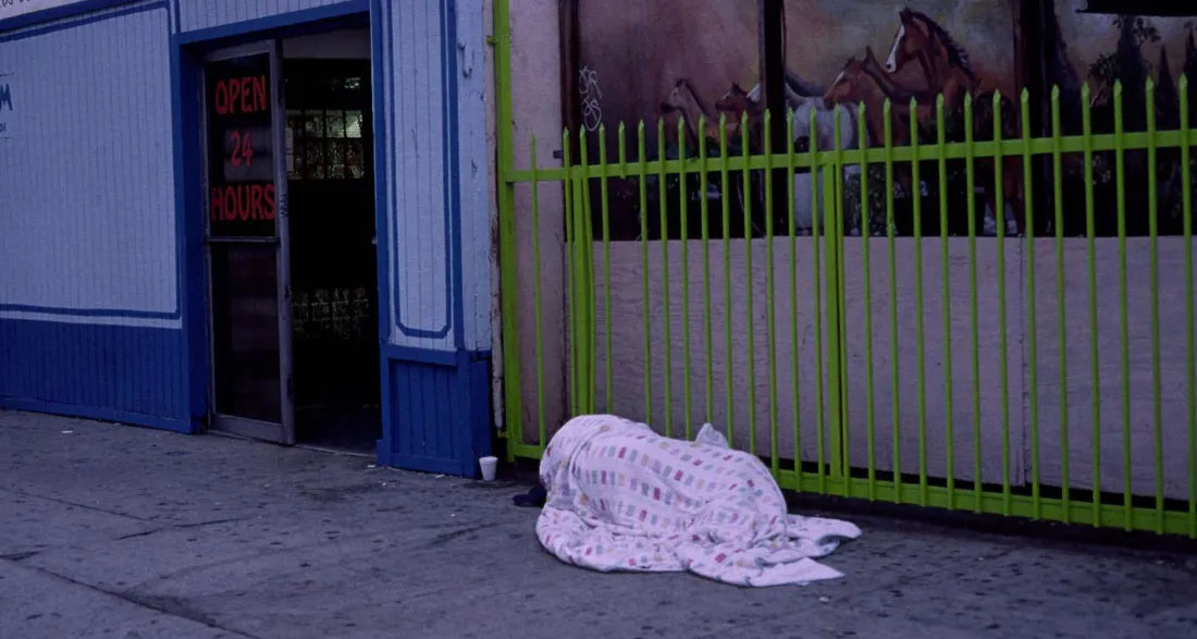 I Adopted a Homeless Woman’s 4-Year-Old Son – 14 Years Later, My Husband Revealed What the Boy Was ‘Hiding’