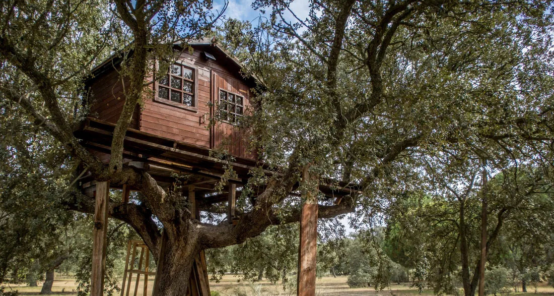 My Eight-Year-Old Kept Vanishing in His Treehouse for Hours – Until I Heard a Voice That Sounded Like My Late Husband